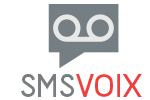 SMS di marketing vocale