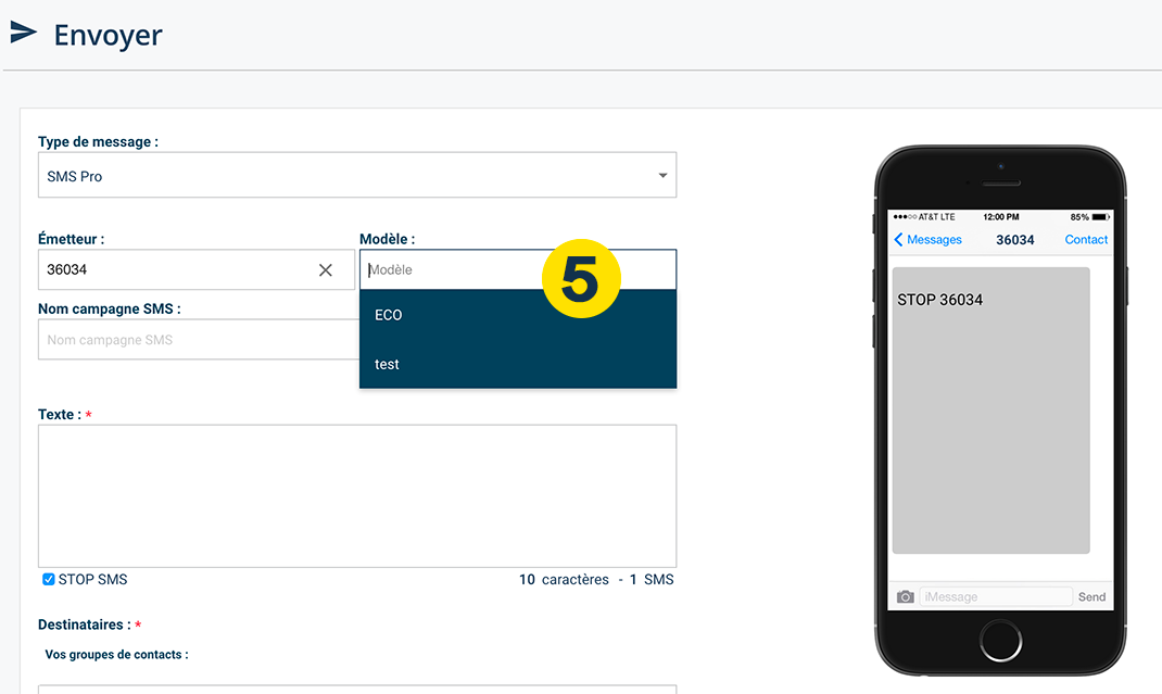 Wahl des SMS-Modells