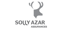 logo-sollyazar