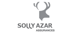 Logo-Sollyazar