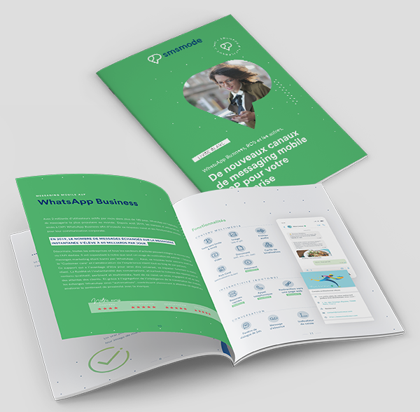 mobile messaging white paper: RCS, WhatsApp Business and others