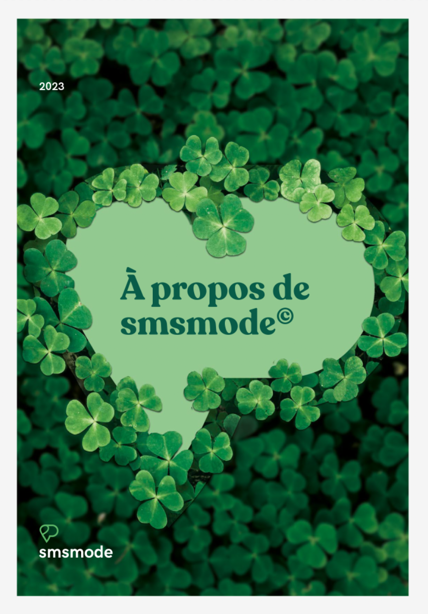 couv-rapport-rse