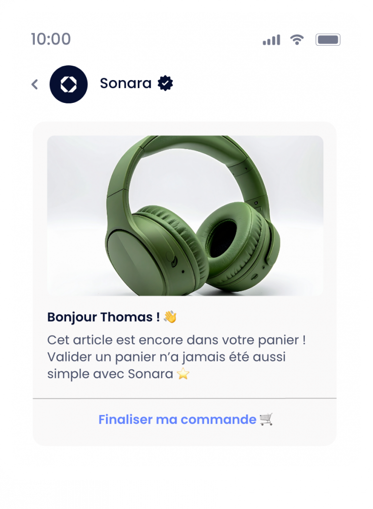 Exemple de RCS pour le secteur électronique